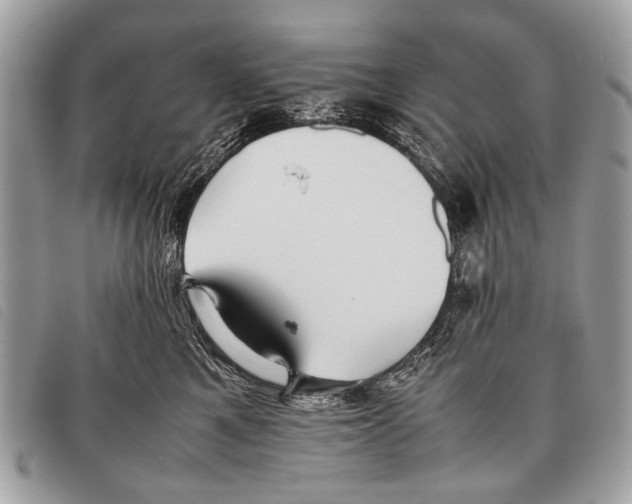 X0000097860521200804111156