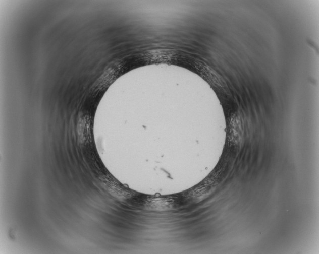 X0000097860522200804111156