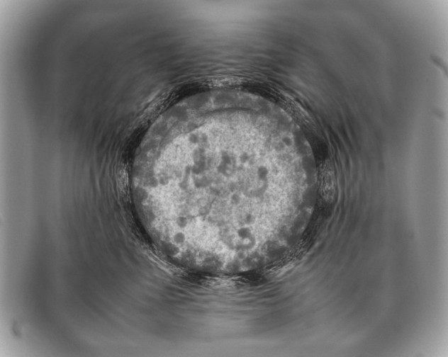 X0000097860523200804111156