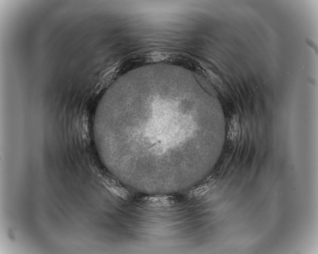 X0000097860524200804111156