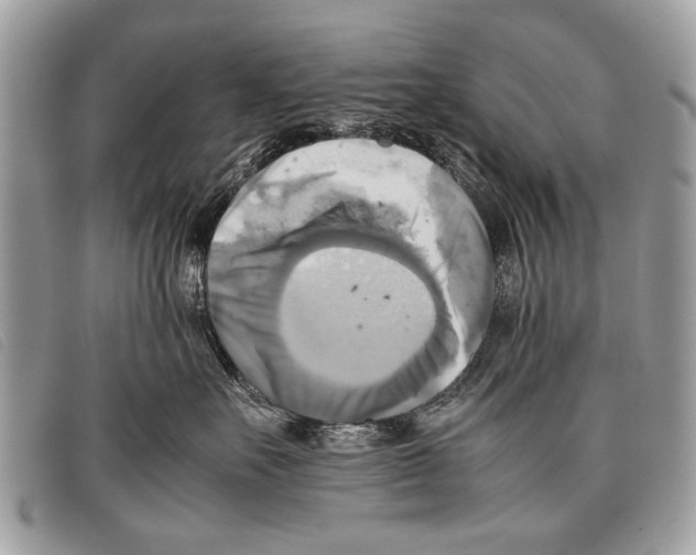 X0000097860527200804111156