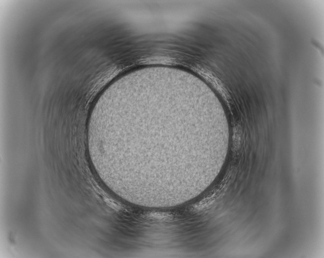 X0000097860529200804111155