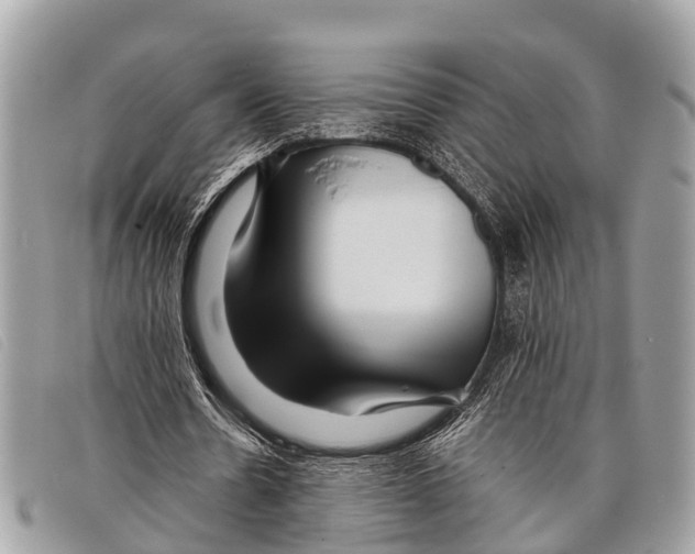 X0000097860530200804111155