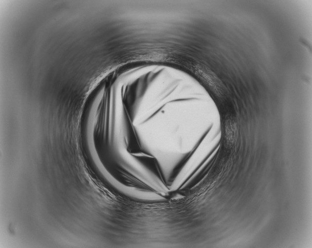 X0000097860532200804111155