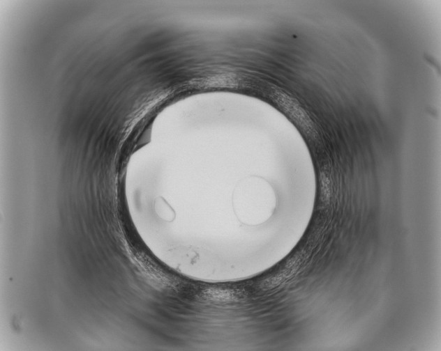 X0000097860534200804111155