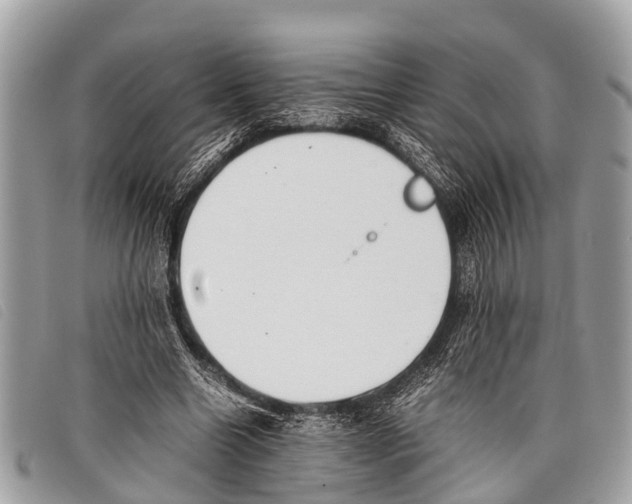 X0000097860538200804111155