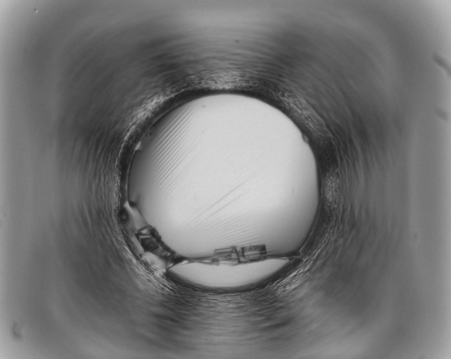 X0000097860540200804111156