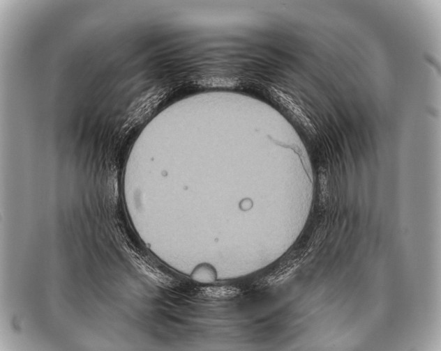 X0000097860541200804111156