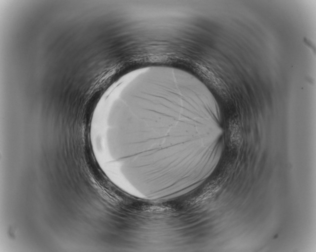 X0000097860542200804111156