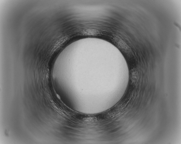 X0000097860544200804111156