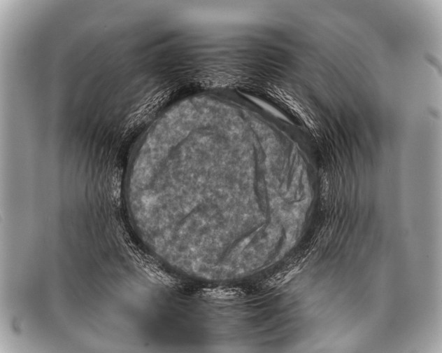 X0000097860545200804111156