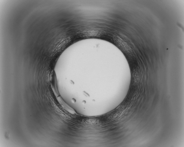 X0000097860546200804111156