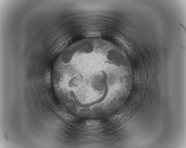 X0000097860549200804111156