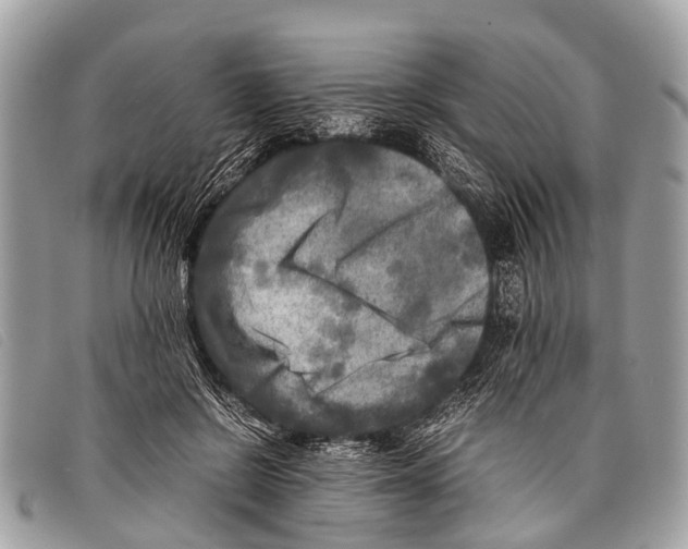 X0000097860550200804111156