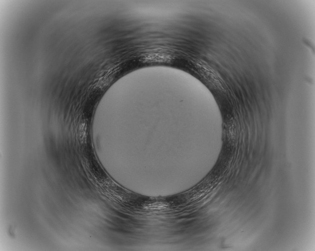 X0000097860551200804111156