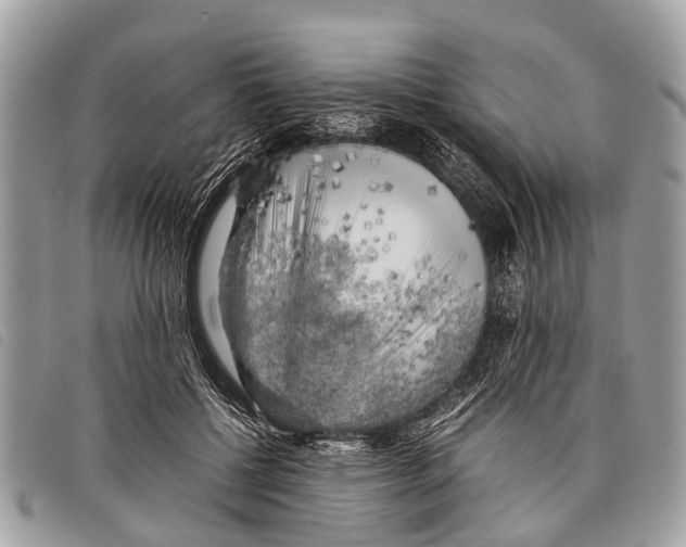 X0000097860552200804111156