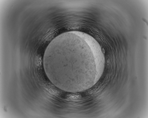 X0000097860555200804111156