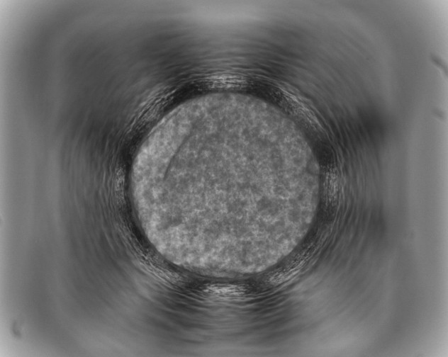 X0000097860557200804111156