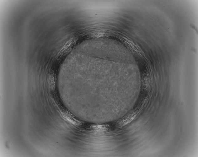 X0000097860558200804111156