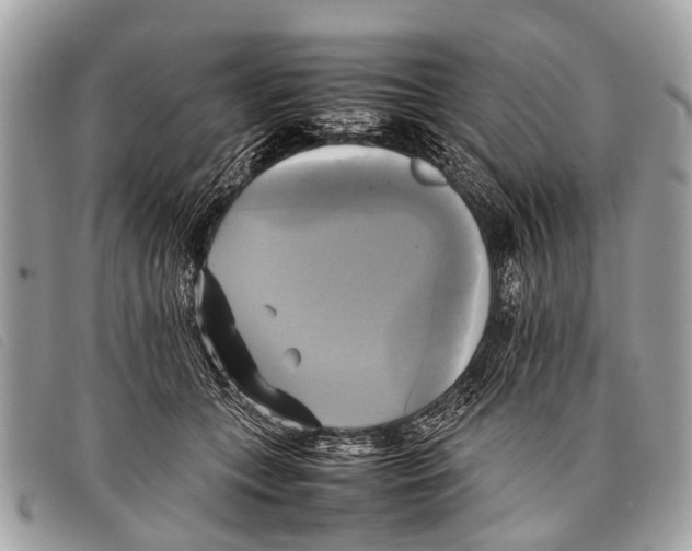 X0000097860559200804111156