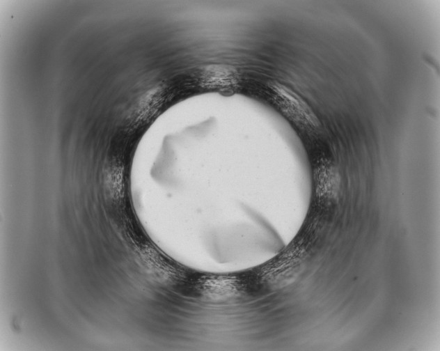 X0000097860560200804111156