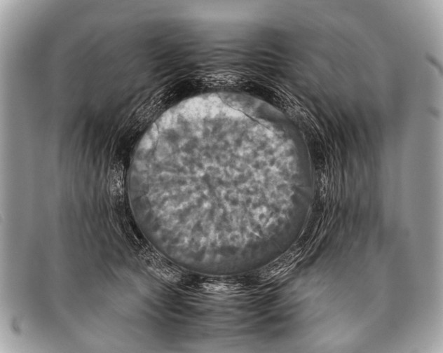 X0000097860561200804111156