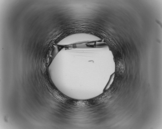 X0000097860566200804111156