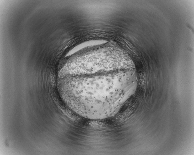 X0000097860568200804111156