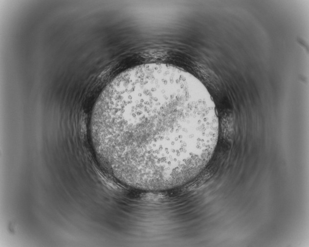 X0000097860570200804111156