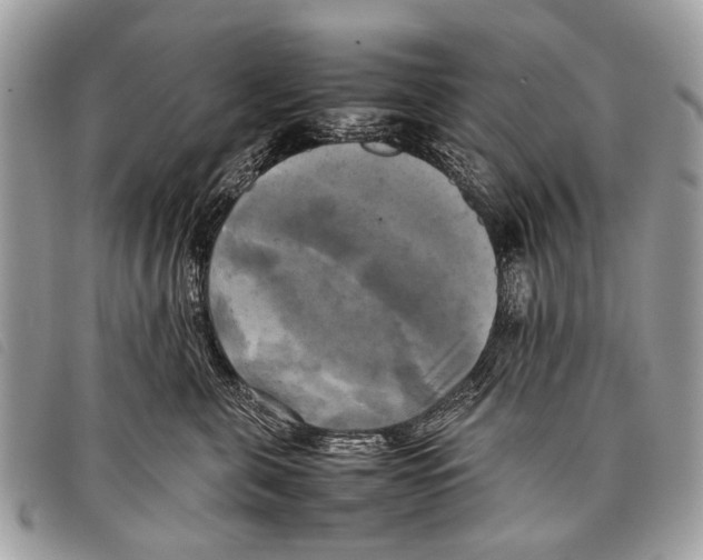 X0000097860571200804111156