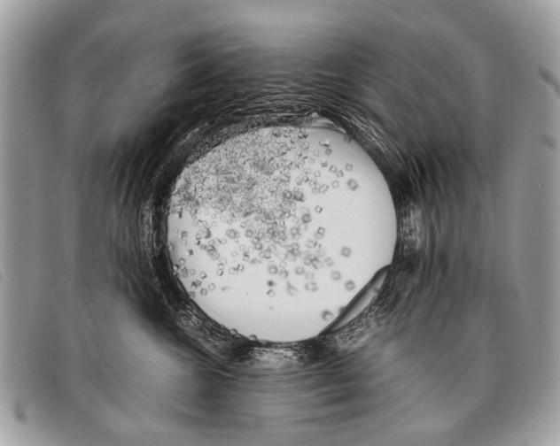 X0000097860572200804111156