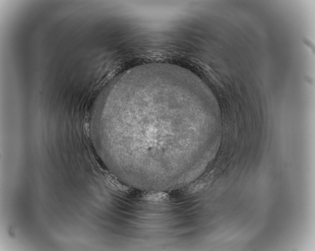 X0000097860576200804111156