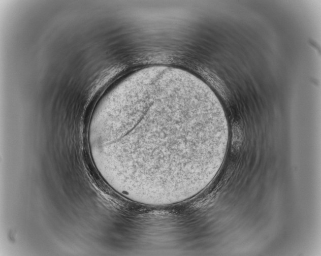 X0000097860578200804111155