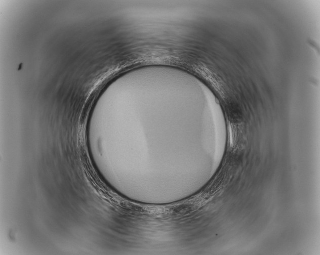 X0000097860579200804111155