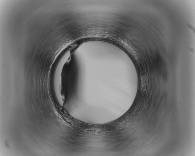 X0000097860580200804111155