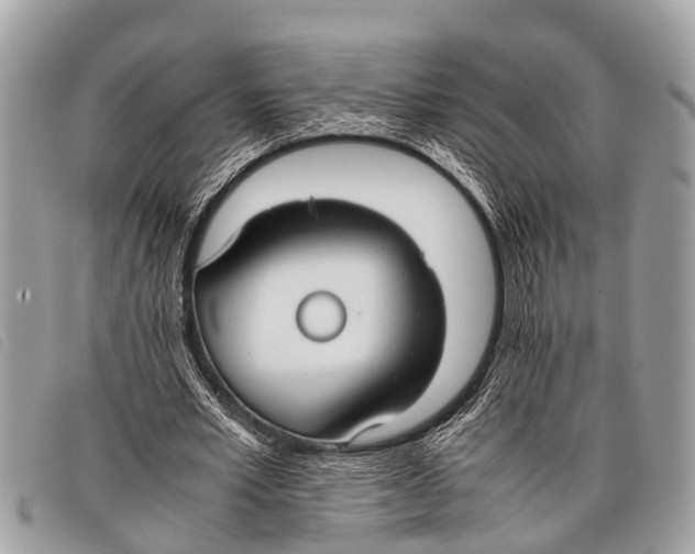 X0000097860581200804111155