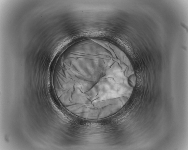 X0000097860582200804111155