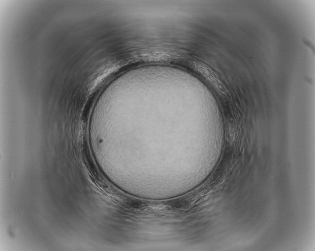 X0000097860583200804111155