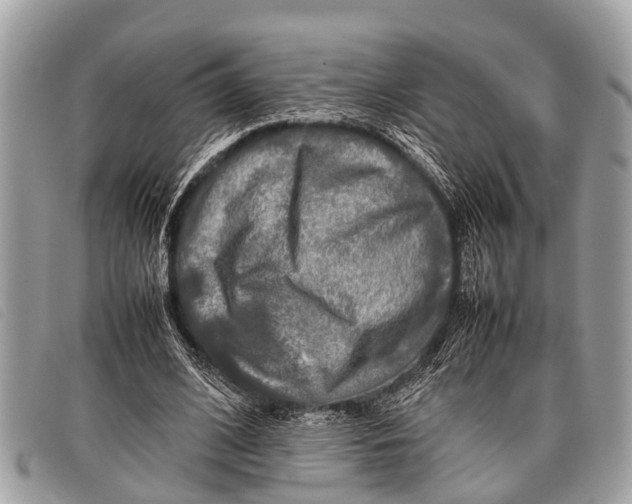 X0000097860584200804111155