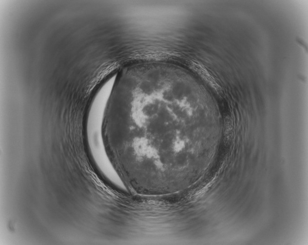 X0000097860585200804111155