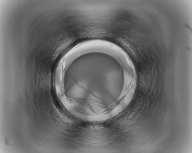 X0000097860586200804111155