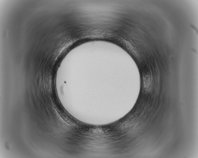 X0000097860588200804111155