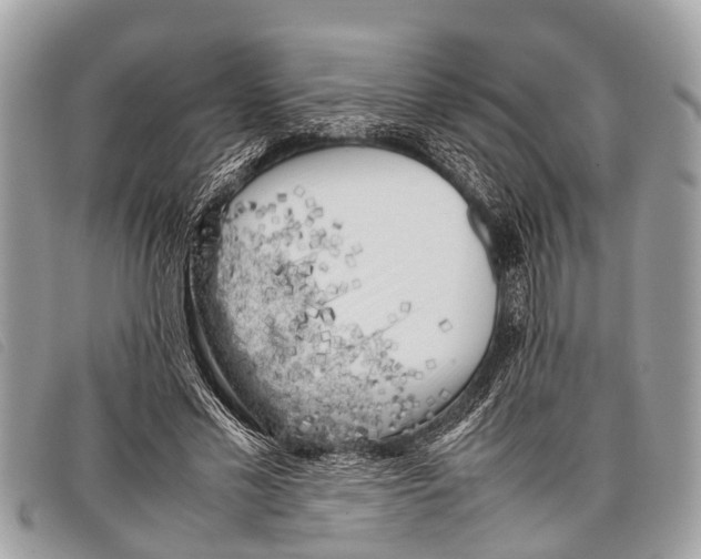 X0000097860589200804111155