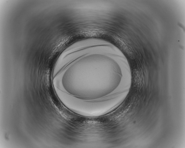 X0000097860590200804111155