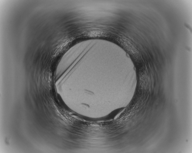 X0000097860592200804111155