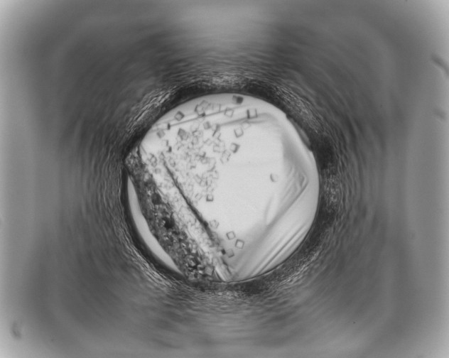 X0000097860593200804111155