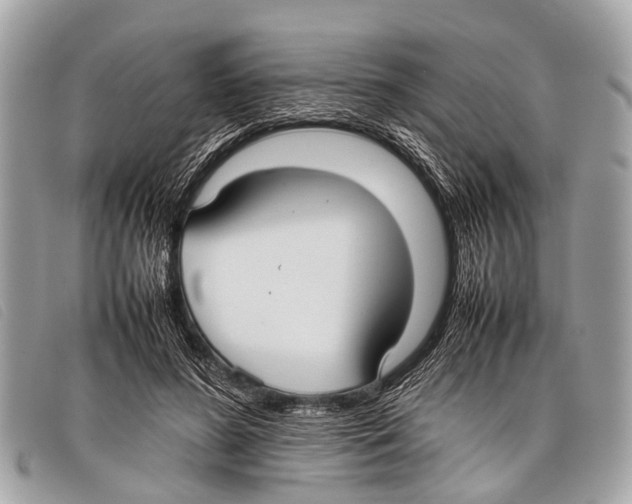 X0000097860596200804111155