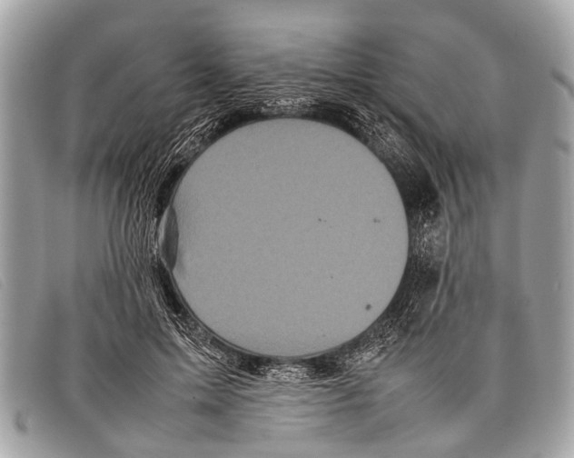 X0000097860599200804111155