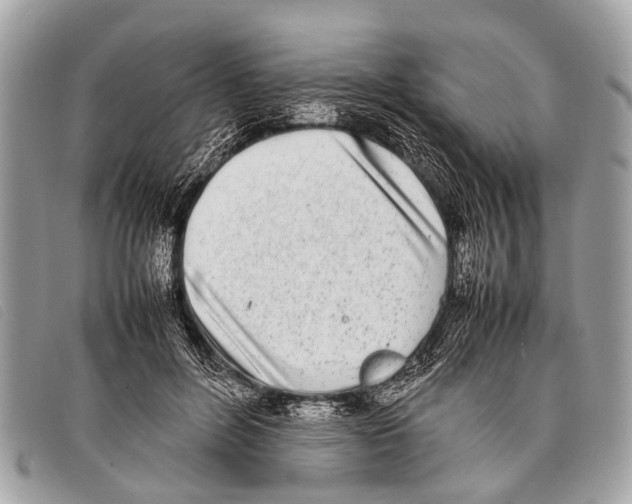 X0000097860600200804111155