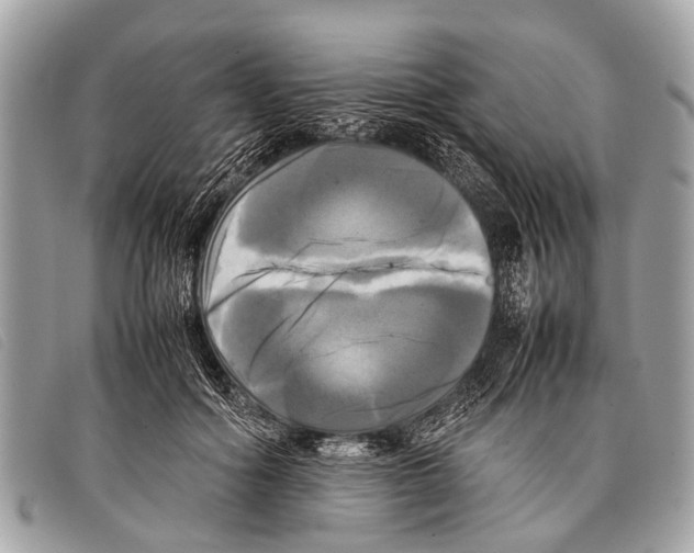 X0000097860602200804111155